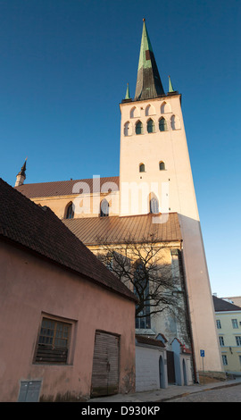 L'église St Olaf dans la lumière du matin. Vieille ville de Tallinn, Estonie Banque D'Images