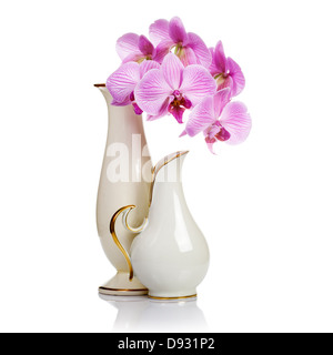 Deux vieux vases en porcelaine blanche et fleurs orchidée rose sur fond blanc Banque D'Images