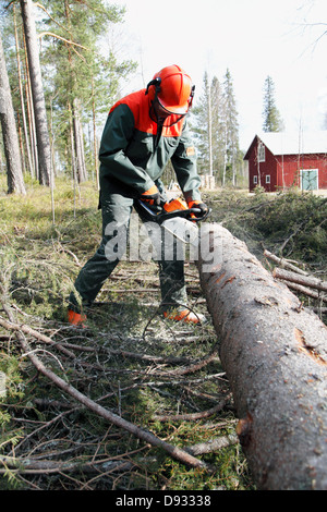 Homme arbre sciage Banque D'Images