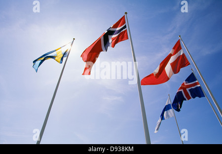 Drapeaux des pays scandinaves Banque D'Images