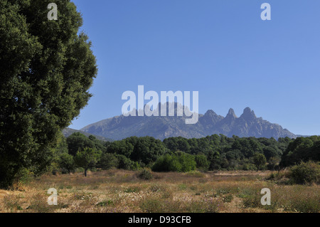 Aiguilles de Bavella, vue de Quenza, Col de Bavella, Région de l'Alta Rocca, Corse-du-Sud, Corse, France Banque D'Images