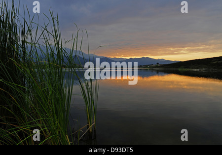 Lac artificiel Padula, Région du Nebbio, Le Haut-Nebbio, Haute-Corse, Corse, France Banque D'Images