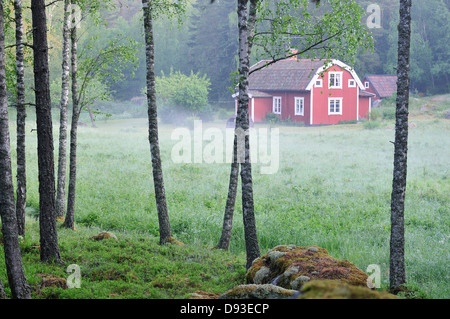 Un chalet rouge dans la forêt, la Suède. Banque D'Images