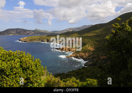 Paysage côtier au sud de Calvi, Balagne, Haute-Corse, Corse, France Banque D'Images