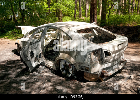 Voiture brûlée à woodland park, Norfolk, Angleterre Banque D'Images