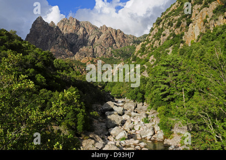 Les gorges de Spelunca, près de Ota, Corse, France Banque D'Images