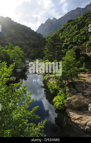 Les gorges de Spelunca, près de Ota, Corse, France Banque D'Images