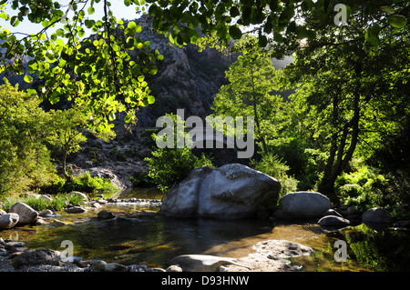 Les gorges de Spelunca, près de Ota, Corse, France Banque D'Images