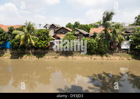 Un mauvais quartier résidentiel par une rivière polluée dans le centre de Jakarta, la capitale de l'Indonésie Banque D'Images