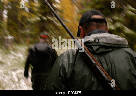 Les chasseurs à pied dans une forêt, le Norrland, en Suède. Banque D'Images