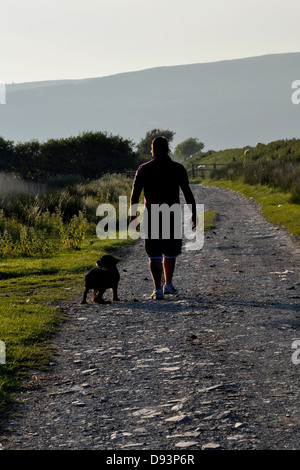 L'homme et un chien de chasse marche cocker uk Banque D'Images