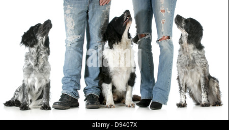 Famille avec des chiens - mari et femme avec trois chiens isolé sur fond blanc Banque D'Images