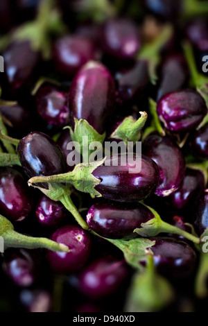 Petites aubergines produits frais du marché agricole Banque D'Images