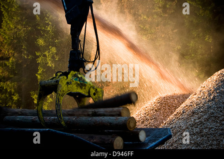 Production de plaquettes de bois, la Suède. Banque D'Images