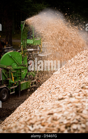 Production de plaquettes de bois, la Suède. Banque D'Images