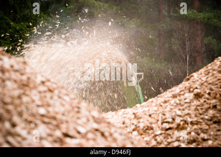 Production de plaquettes de bois, la Suède. Banque D'Images