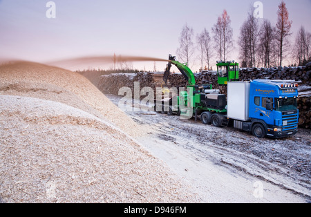 Production de plaquettes de bois, la Suède. Banque D'Images