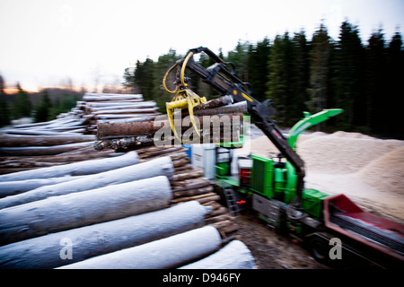 Production de plaquettes de bois, la Suède. Banque D'Images