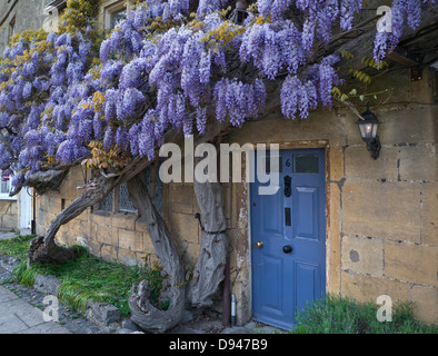 Sur le mur de wisteria cottage historique au crépuscule dans le centre de village Broadway Worcestershire Angleterre Cotswolds UK Banque D'Images