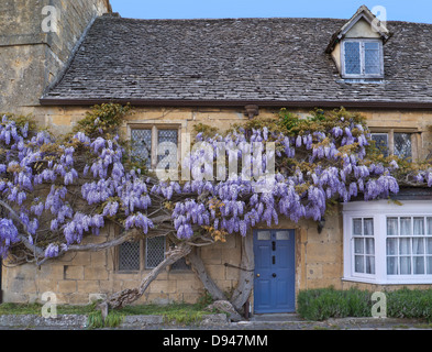 Wisteria sur le mur de chalet historique dans le centre du village de Broadway Cotswolds Angleterre Worcestershire Royaume-Uni Banque D'Images