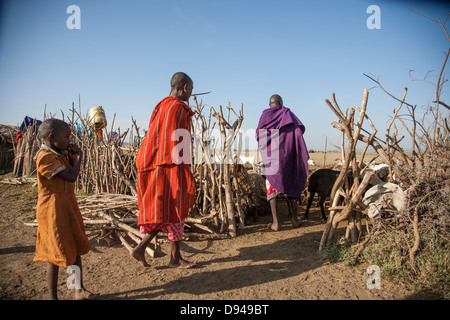 Famille masaï dans la vallée du Rift de l'Afrique des troupeaux de chèvres Banque D'Images