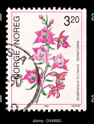 Timbre-poste de Norvège représentant Dark Red Helleborine ou Royal Helleborine (Epiactus atrorubens) Banque D'Images