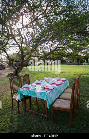 Table d'extérieur, sur une pelouse sous un arbre Banque D'Images