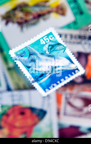 Timbres-poste de marine mixte en studio Banque D'Images