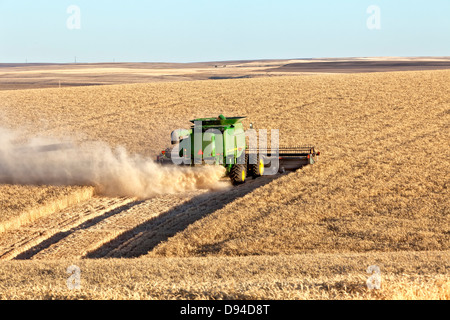 Moissonneuse-batteuse John Deere la récolte du blé. Banque D'Images