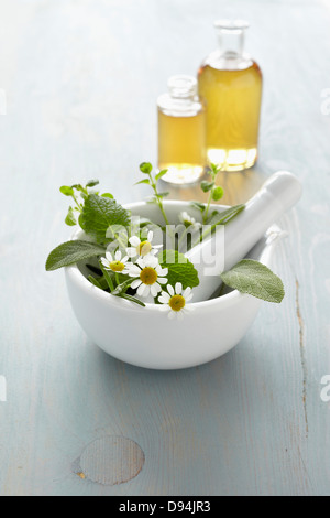 Still Life de mortier et pilon avec des herbes fraîches, camomille, bouteilles d'huile essentielle pour l'aromathérapie Banque D'Images