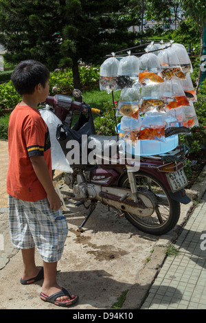 Marché de Dalat est rempli de spécialités locales : confiture de fraise, conserve, les artichauts et les avocats. Banque D'Images