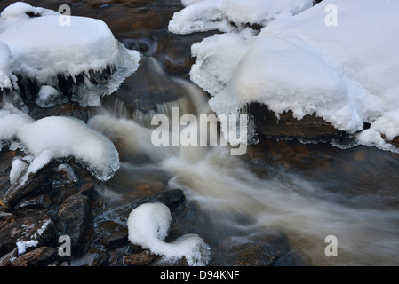 Close-up d'Icy Ruisseau de montagne en hiver, Steinklamm, Spieglau, Parc National de la forêt bavaroise, Bavière, Allemagne Banque D'Images
