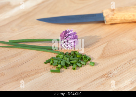 Allium schoenoprasum ciboulette fraîchement coupé et le couteau sur la planche à découper en bois UK Banque D'Images