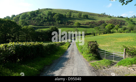 Paysage rural paysage en plein soleil Carmarthenshire Wales UK Juin 2013 Banque D'Images