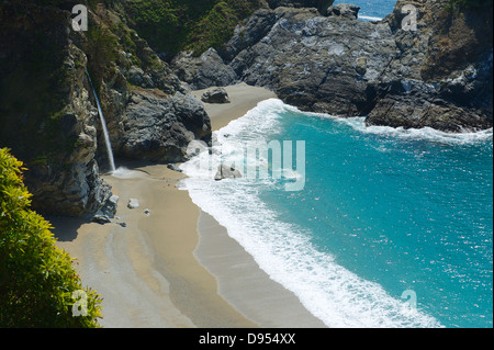 Donnant sur la plage à Julia Pfeiffer Burns State Park, Big Sur, Californie Banque D'Images