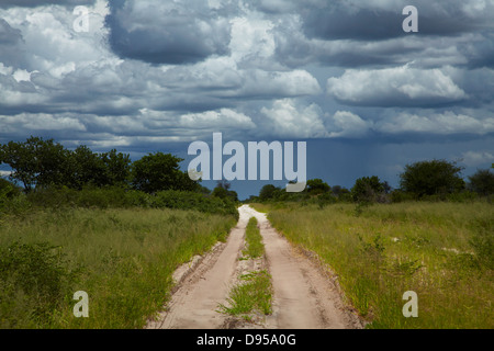 La voie de crétin à la frontière Nokaneng, et des nuages d'orage, au nord-ouest de l'Afrique, Botswana Banque D'Images