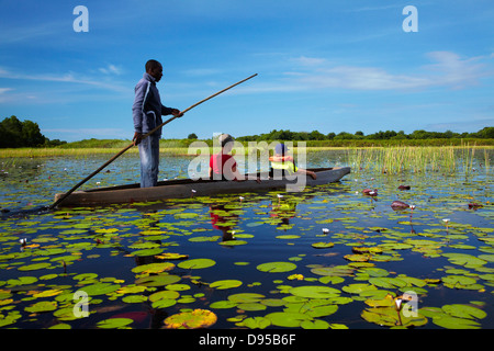 Les touristes étant pôles si lily pads en mokoro (pirogue), Okavango Delta, Botswana, Africa Banque D'Images