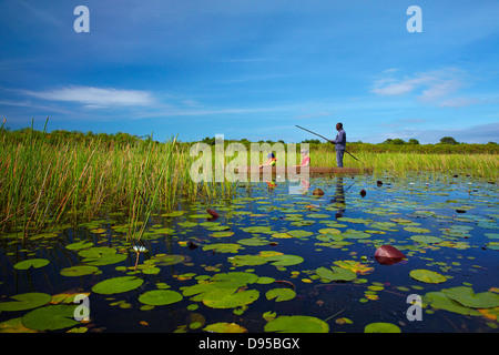 Les touristes étant pôles si lily pads en mokoro (pirogue), Okavango Delta, Botswana, Africa Banque D'Images