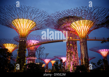 Les arbres des jardins près d'un super bay Singapour Banque D'Images