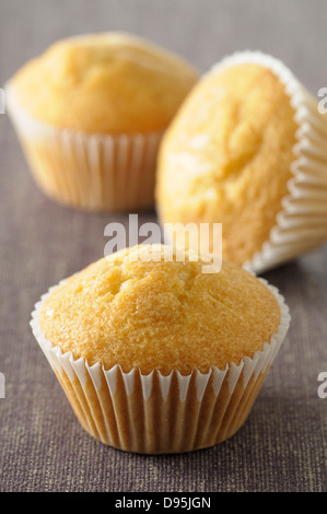 Close-up of Plain Cupcakes, Studio Shot Banque D'Images