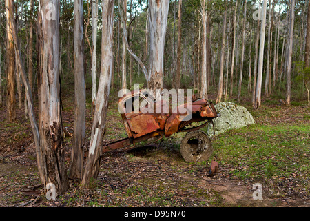 Cabine de rouille d'un vieux camion appuyés sur un tronc d'arbre au milieu des arbres dans le bush australien Banque D'Images