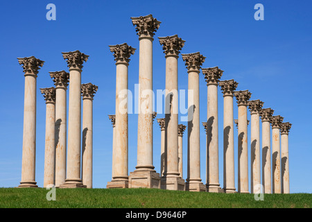 Le Capitole des colonnes dans l'Arboretum National, Washington, DC. Banque D'Images