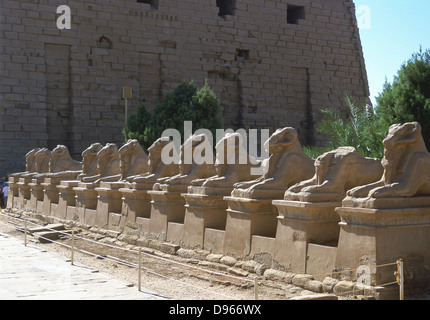 Ligne de sphinx à tête de bélier, temple de Ramsès II, le Grand (1304-1237 BC), Karnak Egypte ancienne Banque D'Images