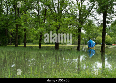 Inondation Chiemsee juin 2013, bateau sur remorque en forêt, Chiemgau Haute-bavière, Allemagne Europe Banque D'Images