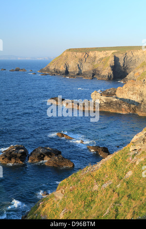 Avis de Mutton Cove de la côte près de Godrevy, Cornwall, Angleterre du Nord, Royaume-Uni Banque D'Images