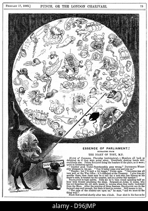 L'essentiel du Parlement : Caricature par Harry Furniss marquant l'ouverture de la première session du Parlement pour 1883, montrant les politiciens comme les microbes dans une goutte d'eau. À partir de 'Punch', Londres, 17 février 1883. A ce moment des conférences publiques étaient donnés montrant des diapositives d'une goutte d'eau sale de tamise vu sous un microscope. La gravure sur bois . Banque D'Images