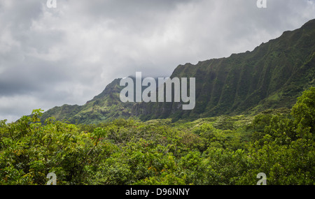 Montagnes Ko'olau Kaneohe, Hawaii, Oahu Banque D'Images