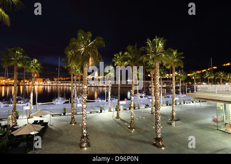 Palmiers à la promenade de Malaga, Andalousie Espagne Banque D'Images