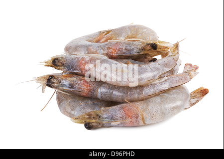 Tas de matières et de crevettes fraîches isolated on white Banque D'Images