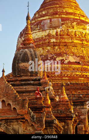 La pagode DHAMMAYAZIKA est doré en forme de cloche et achevé en 1196 AD par Narapatisithu - BAGAN, MYANMAR Banque D'Images